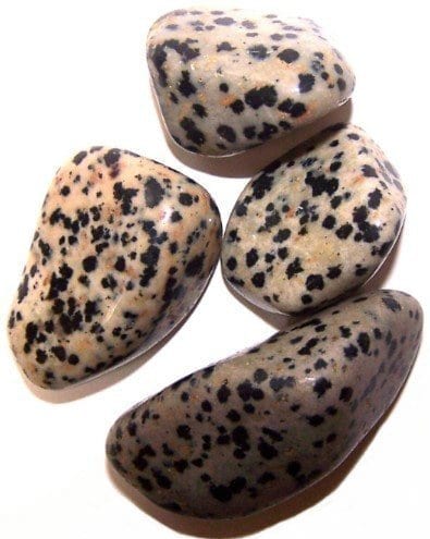 Dalmation  Jasper Tumble Stone