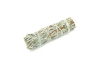 Desert Shasta Sage - Premium