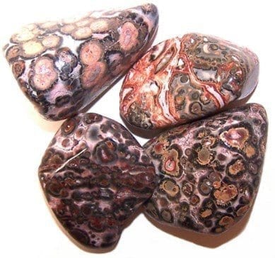 Leopard Skin Jasper Tumble Stone