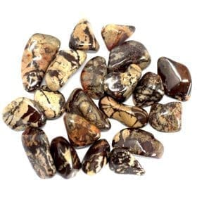 Nguni Jasper Tumble Stone