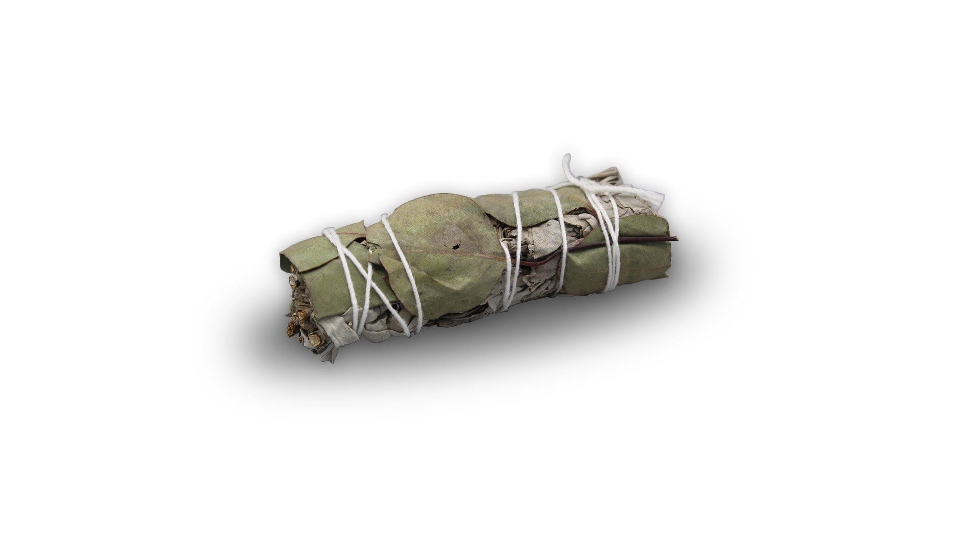 White Shasta Sage & Eucalyptus - Premium