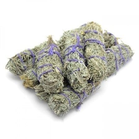 Desert Shasta Sage - Small