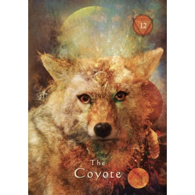 Mystical Shaman Oracle - Image 5
