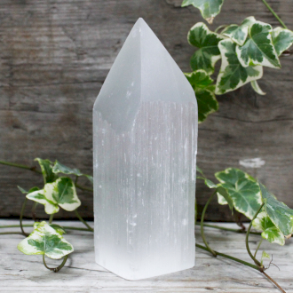 16cm Rough Selenite with Polished Point
