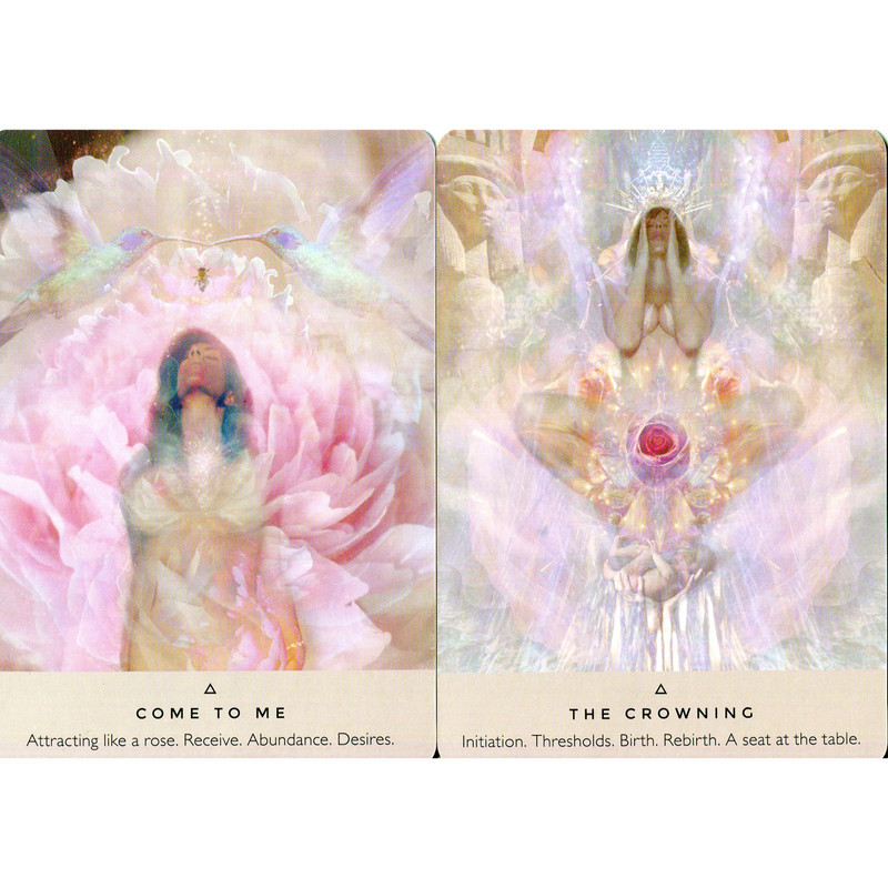 The Rose Oracle - Image 3