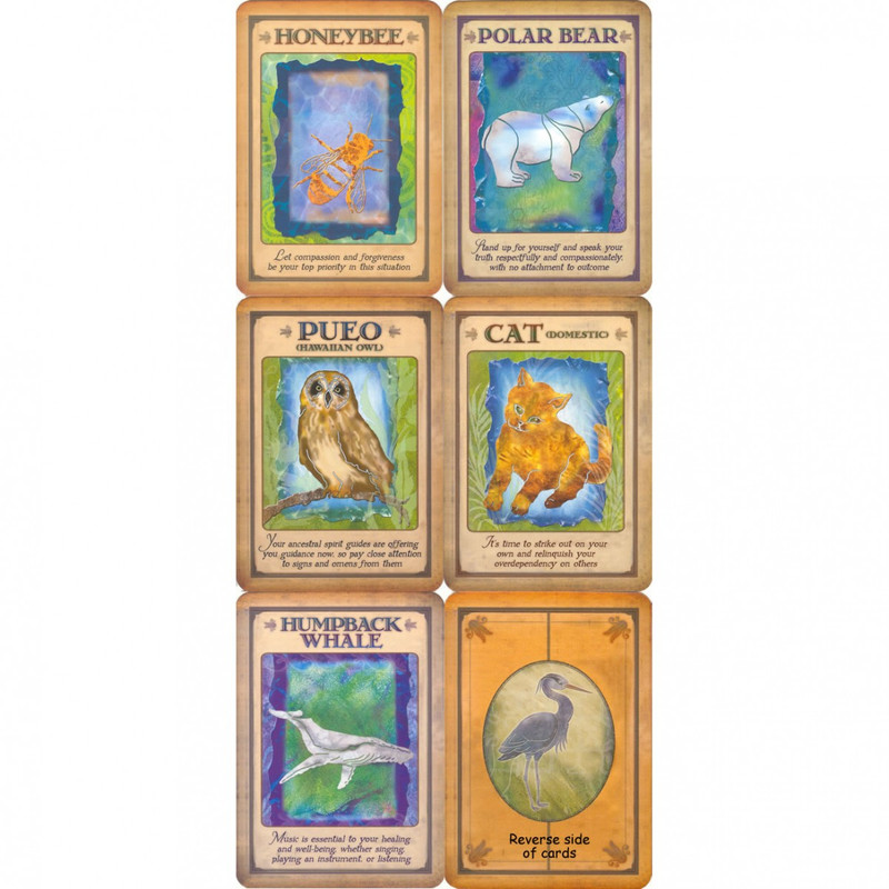 Messages from Your Animal Spirit Guides - Steven Farmer - Image 2