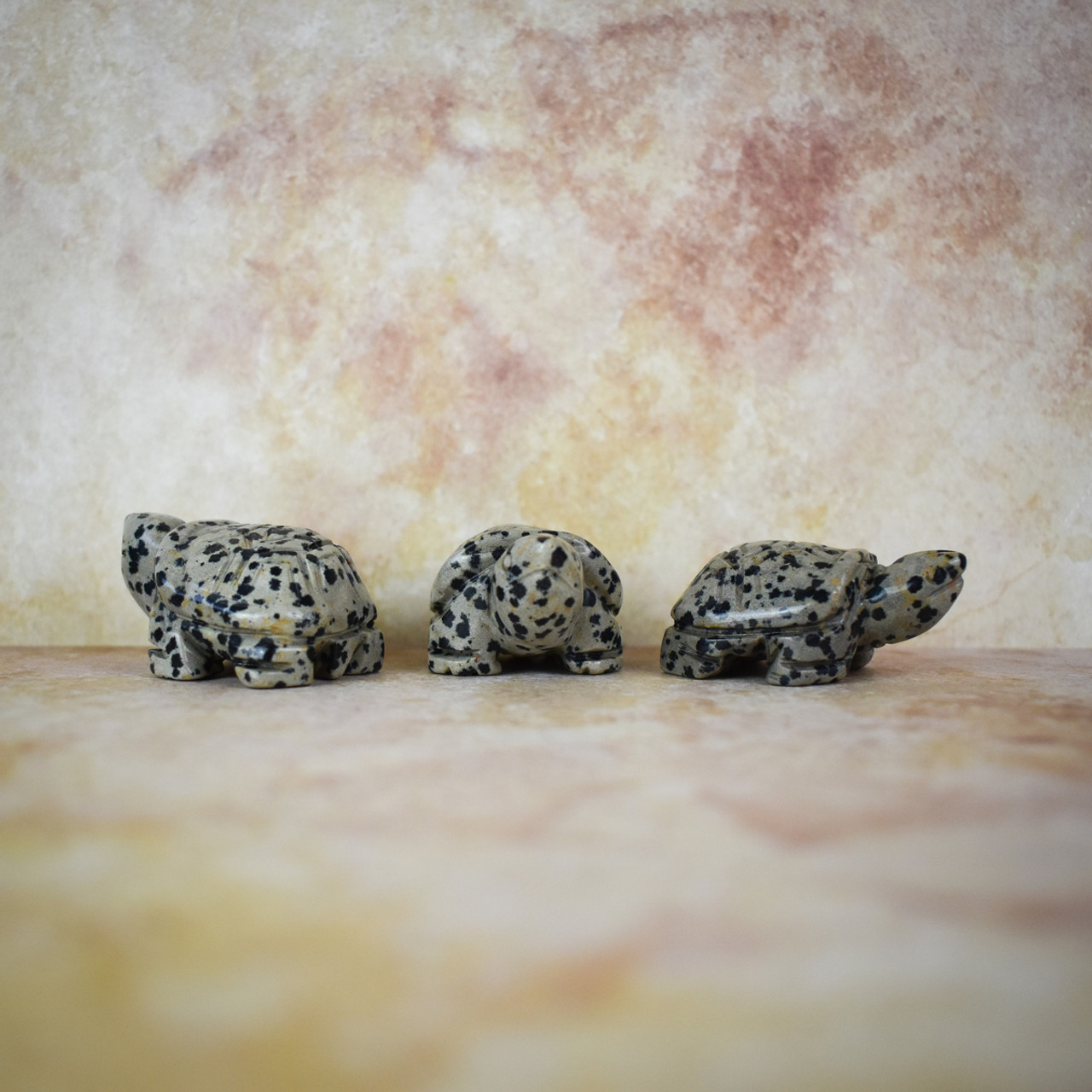 Dalmation Jasper Turtle