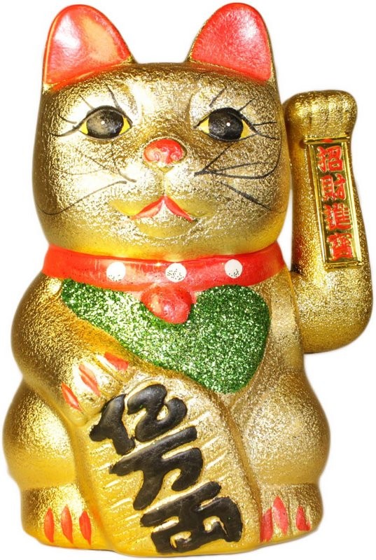 Very large money cat