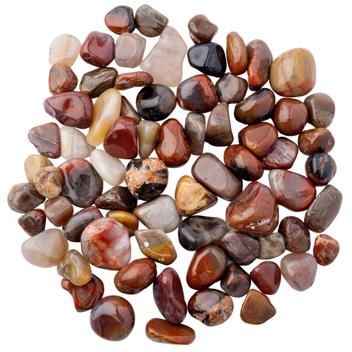 Petrified Wood